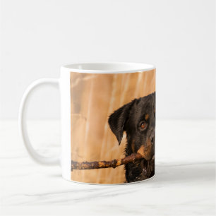 Caneca De Café Rottweiler Com Um Pente