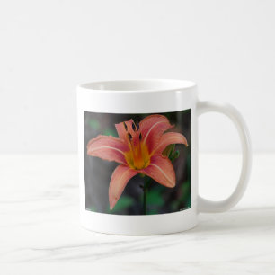 Caneca De Café Roupa e presentes adoráveis de Tawny Daylily