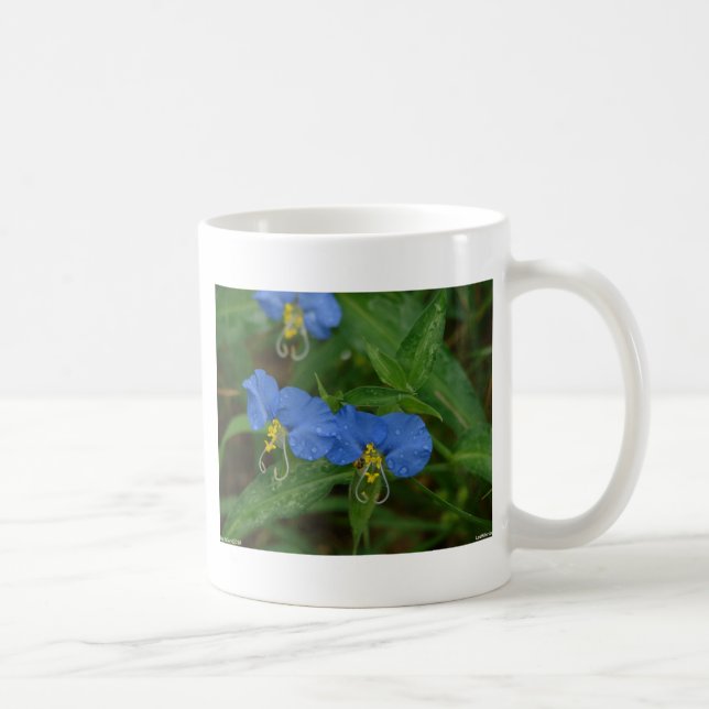 Caneca De Café Roupa e presentes de flor azul asiático WIldflower (Direita)