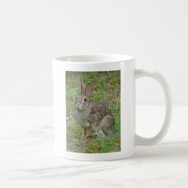 Caneca De Café Roupas e Presentes do Coelho Selvagem do Leste (Direita)