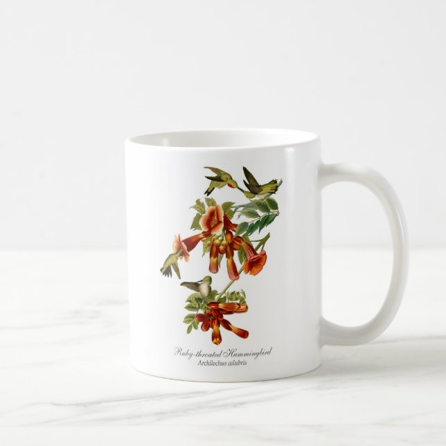 caneca de café Rubi-throated do colibri (Direita)