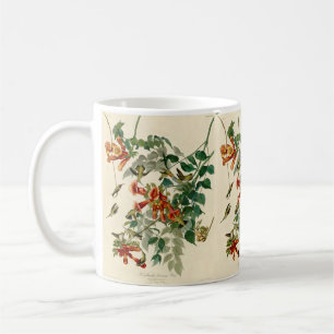 Caneca De Café Ruby Throated Hummingbird Painting (Pintura de Hum