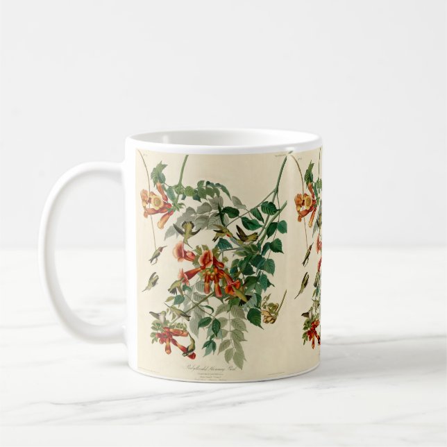 Caneca De Café Ruby Throated Hummingbird Painting (Pintura de Hum (Esquerda)
