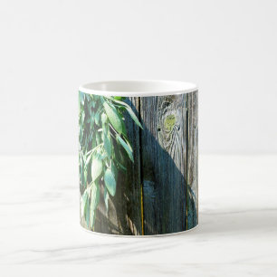 Caneca De Café Sage Barn-wood, recortada recentemente