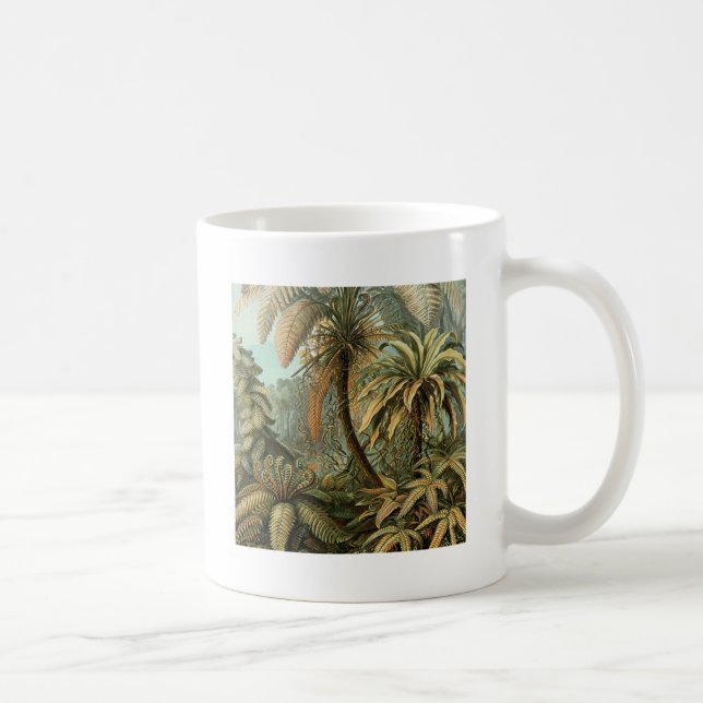 Caneca De Café Samambaia Palmeira Arte Botânica Antiga de Samamba (Direita)