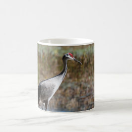 Caneca De Café Sandhill Crane