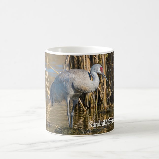 Caneca De Café Sandhill Crane (Centro)