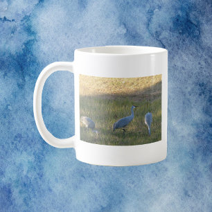 Caneca De Café Sandhill Cranes Bird Grazing Foto