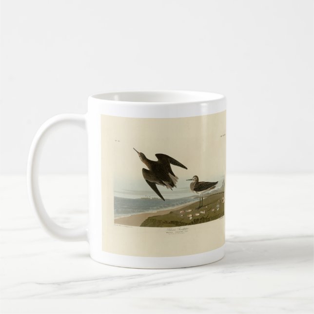 Caneca De Café Sanduíche de Schinz das Aves da América de Audubon (Esquerda)