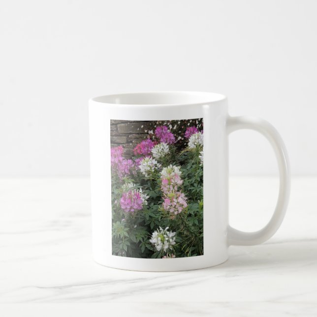 Caneca De Café Sangue de Cleômetros Brancos e Rosa (Direita)
