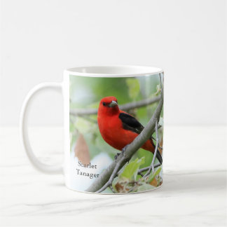 Caneca De Café Scarlet Tanager Mug by BirdingCollectibles