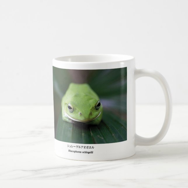 Caneca De Café Schlegel's green tree frog (Direita)