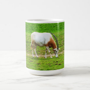 Caneca De Café Scimitar oryx