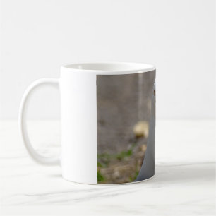 Caneca De Café Seagull