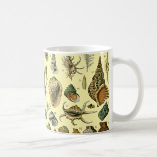 Caneca De Café Seashell Shell Mollusk Clam Elegant Clam Art