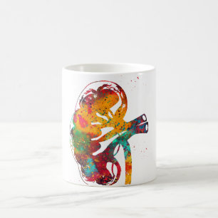 Caneca De Café Seção dos rins
