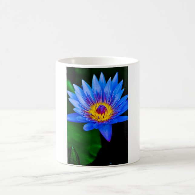 Caneca De Café Serenidade (Centro)