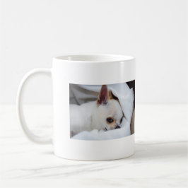 Caneca De Café Seu cachorro de estimação fotos personalizadas col