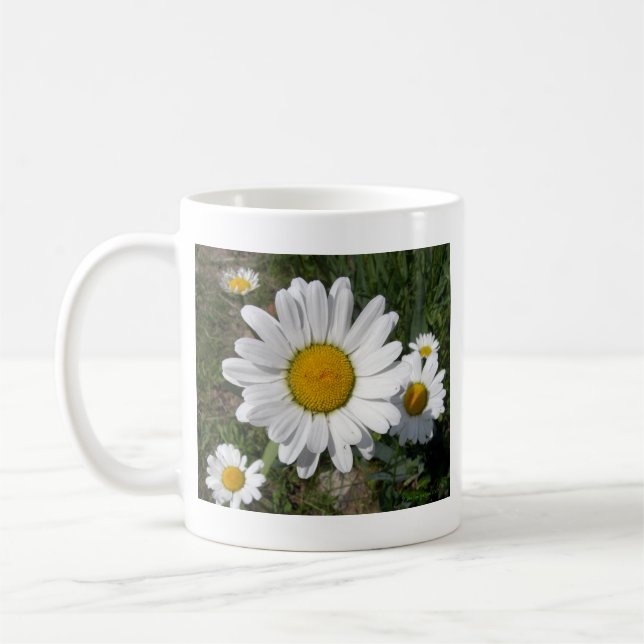 Caneca De Café Shasta Daisy (Chrysanthemum maximum) (Esquerda)