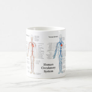 Caneca De Café Sistema circulatório humano das artérias e das