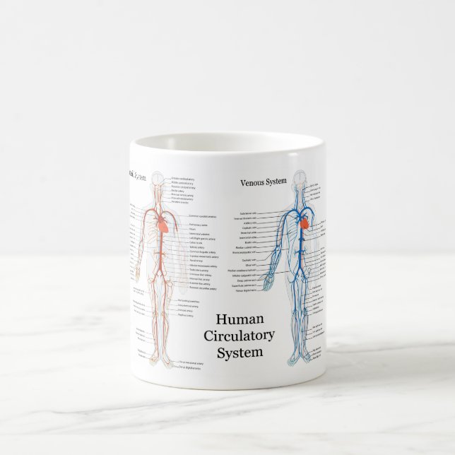 Caneca De Café Sistema circulatório humano das artérias e das (Centro)