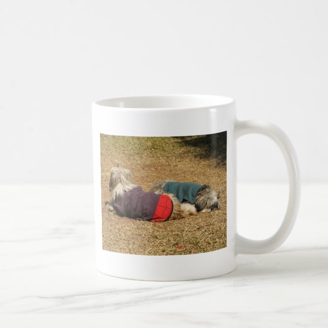 Caneca De Café Snoozing em Nong Khai (Direita)