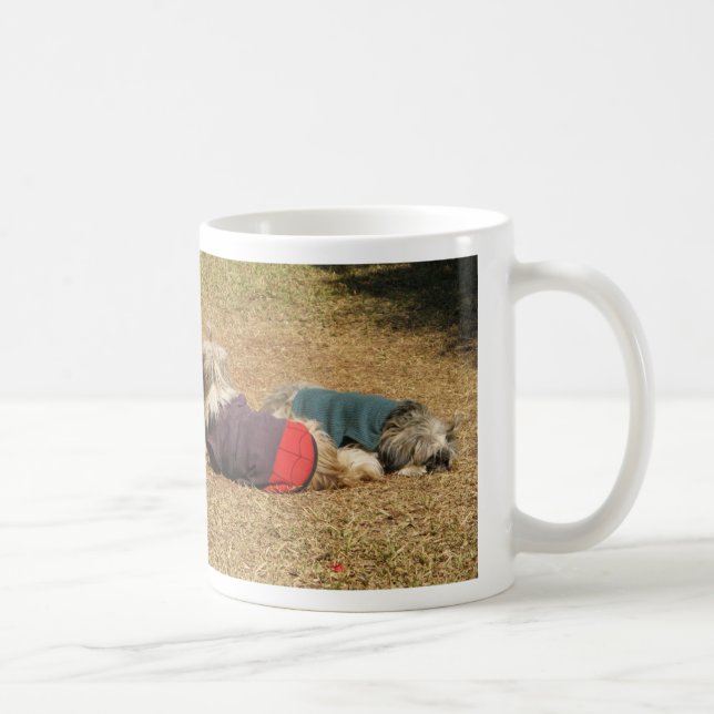 Caneca De Café Snoozing em Nong Khai (Direita)
