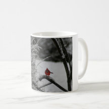 Snowy Cardinal