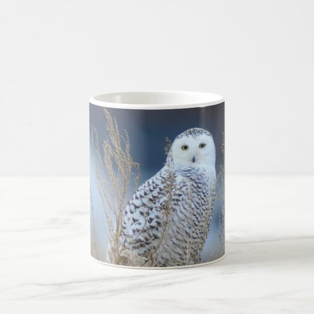 Caneca De Café Snowy Owl Mug (Centro)
