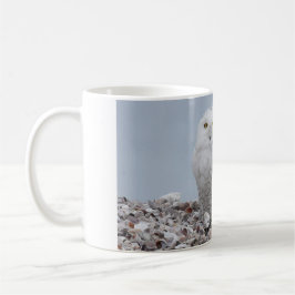 Caneca De Café Snowy Owl nas conchas