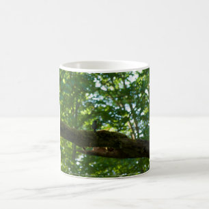 Caneca De Café Sobreposição de Floresta