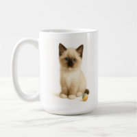 Soft Focus - Ragdoll Kitten com Felt Toy Ball