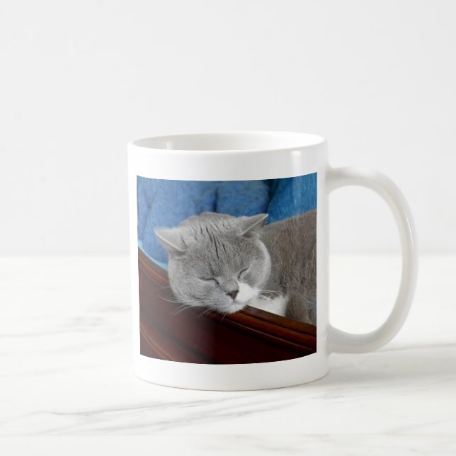 Caneca De Café sono cinzento & branco do gato (Direita)