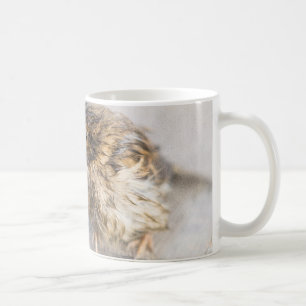 Caneca De Café Sparrow - Falha Epic Previsão do Tempo