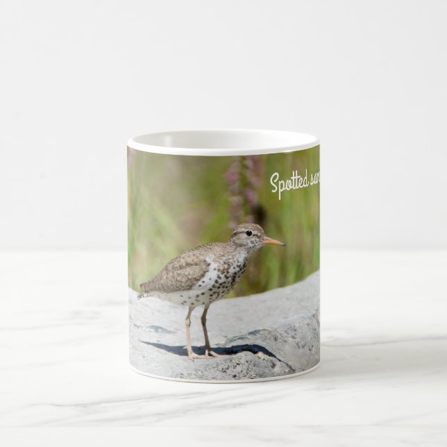 Caneca De Café Spotted Sandpiper (Centro)