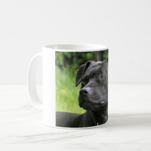 Caneca De Café Staffordshire bull terrier