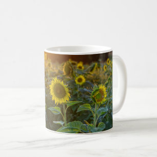 Caneca De Café Sunset No Campo De Girassol