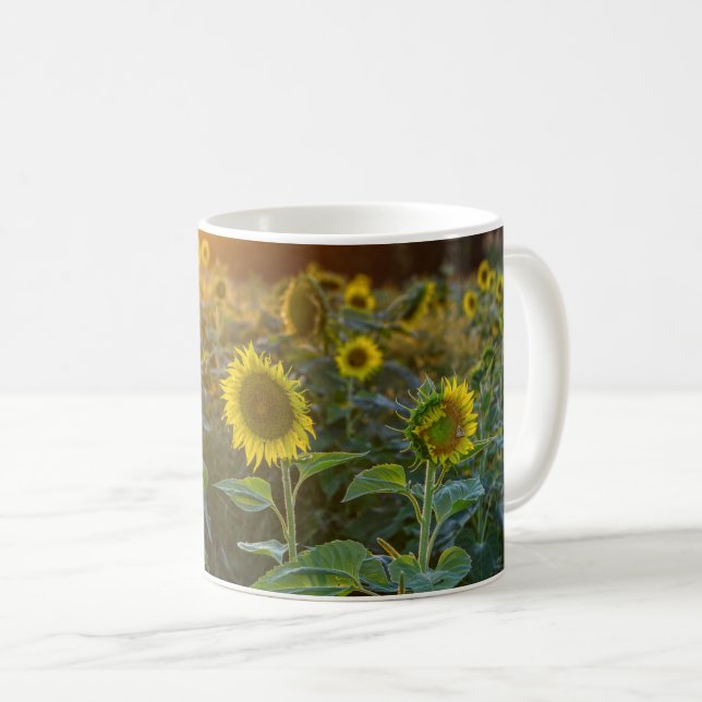 Caneca De Café Sunset No Campo De Girassol (Frente Esquerda)
