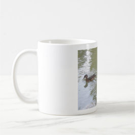 Caneca De Café Swimming Ducks
