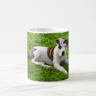 Caneca De Café T-Osso do pitbull do filhote de cachorro