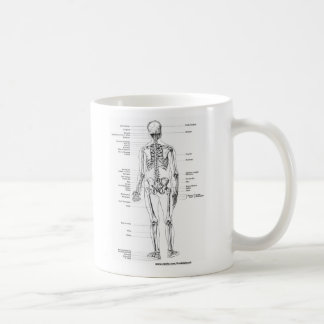 CANECA DE CAFÉ T-SHIRT E PRESENTES DE ESQUELETO DA ANATOMIA