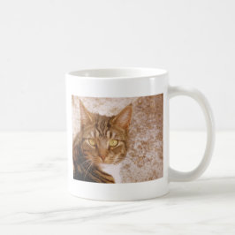 Caneca De Café Tabby Cat