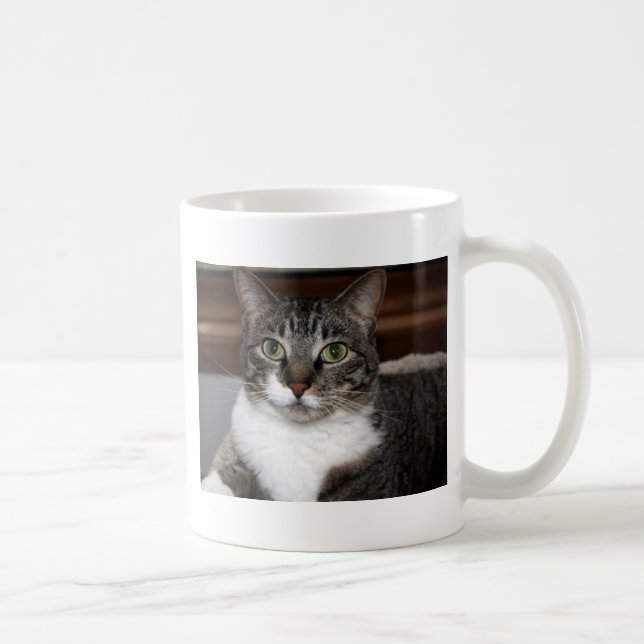 Caneca De Café Tabby Cat Olhando para você Fotografia animal de e (Direita)
