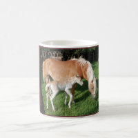 Taça dos Cavalos