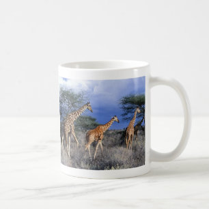 Caneca De Café Taça girafas grupos
