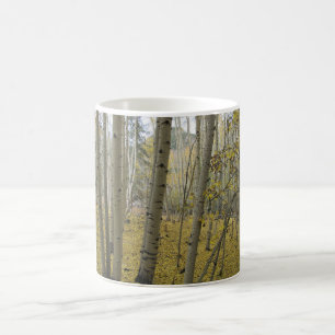 Caneca De Café Tapete dourado abaixo de um bosque de Aspen