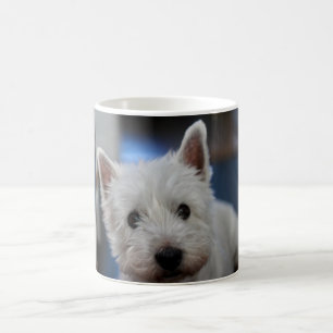 Caneca De Café Tartaruga Branca de Pestie Ultrapolar