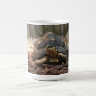 Caneca De Café Tartaruga da terra