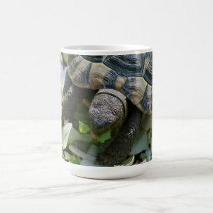 Caneca De Café Tartaruga Fofa