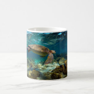 Caneca De Café Tartaruga marinha verde debaixo d'água Ilhas Galáp